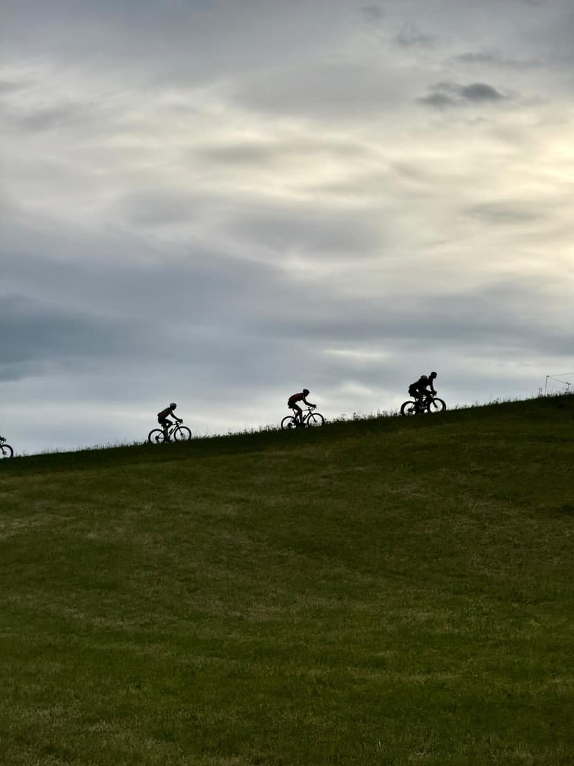 Rennvelo bordeaux
